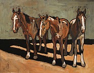 Three Yearlings