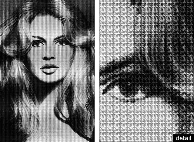  Alex Guofeng Cao, Brigitte Bardot VS Catherine Deneuve