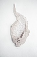 Micrographia No. 12