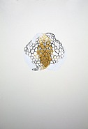 Cell No. 5