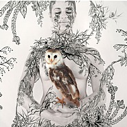 Native Cradled Owl