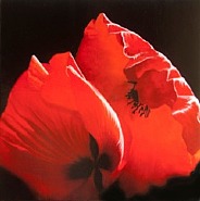 Studio in rosso