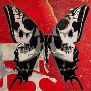 Calvariam Papilio (red)