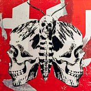 Calvariam Bruchus (red)
