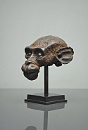 Macaque II