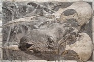 Palimpseste III