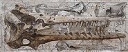 Palimpseste V