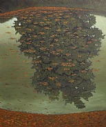 Grand chêne, reflets