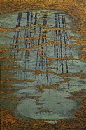 L'automne, reflets