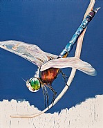 Dragonfly 2