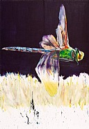Dragonfly I