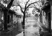 Willow Alley Hutong