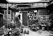 Plentiful Hutong