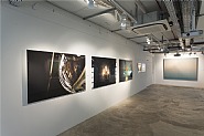 FLUX - Collective Exhibition (Installation View)