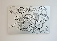 Dynamic forces for life and production