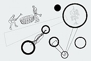 Men practicing crossfit, soy plant and diagrams