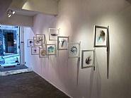 Exhibition View