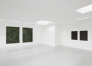 Cast (Installation view, Campoli Presti, London)