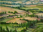 Wine Country Aerial