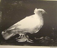 La Colombe