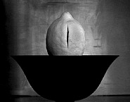 Homenage a Fontana