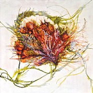 Botanica 1