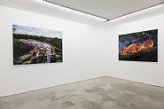 From the series, Bicho da Seda
