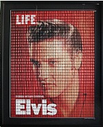 Elvis Red