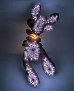 Luminous Garden Untitled c