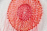 Sanjusangendo Crowns (red)