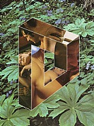 Impossible Shape 7