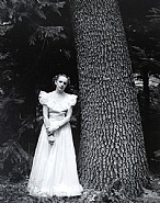 Ansel Adams - Graduation Dress, Yosemite Valley, California