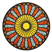 CCLVII