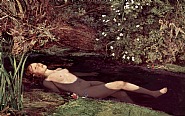 Millais's Wet Ophelia