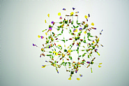 The cluster of life