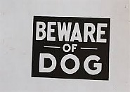 Beware of Dog