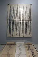 Exhibition view