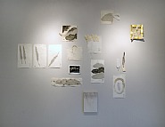 Exhibition view