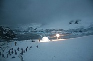 Pierre Huyghe - A Journey that Wasn't (Photographs) h: 33.9 x w: 49.6 in / h: 86.1 x w: 126 cm