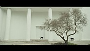 Steve McQueen - Giardini (Installations)