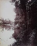 Eugène Atget - Étang du Plessis-Piquet (Series Landscape-Documents), 1919-1921