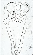 Louise Bourgeois - Anatomy (Detail) (Prints and Multiples) h: 66 x w: 47.7 cm / h: 26 x w: 18.8 in