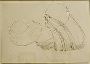 Tony Cragg - Untitled (Installations) h: 29.6 x w: 42 cm / h: 11.7 x w: 16.5 in