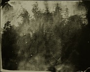 Sally Mann - Deep South #43 (Photographs) h: 94.6 x w: 119.4 cm / h: 37.2 x w: 47 in
