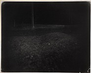 Sally Mann - Battlefields, Untitled (Antietam #14) (Photographs) h: 96.7 x w: 122.5 cm / h: 38.1 x w: 48.2 in