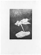 Maria Lassnig - Blume (Prints and Multiples) h: 53 x w: 39.2 cm / h: 20.9 x w: 15.4 in