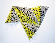 Folds