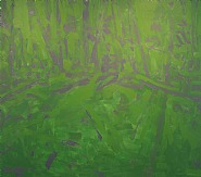 Stehekin Green - Late Light