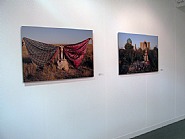 The Armory Show 2013 - Installation View