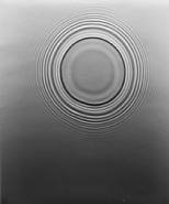 Adam Fuss - Ark (Photographs) h: 61 x w: 50.8 cm / h: 24 x w: 20 in